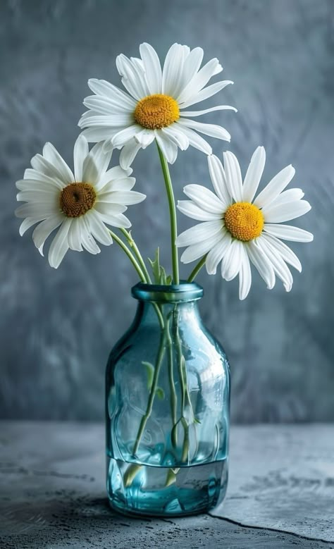 Flowers In Glass Vase Photography, Daisies In A Vase, Flower References, Flower Reference, Flowers To Paint, Still Life Photos, Beautiful Flowers Pictures, Flower Art Painting, Jolie Photo