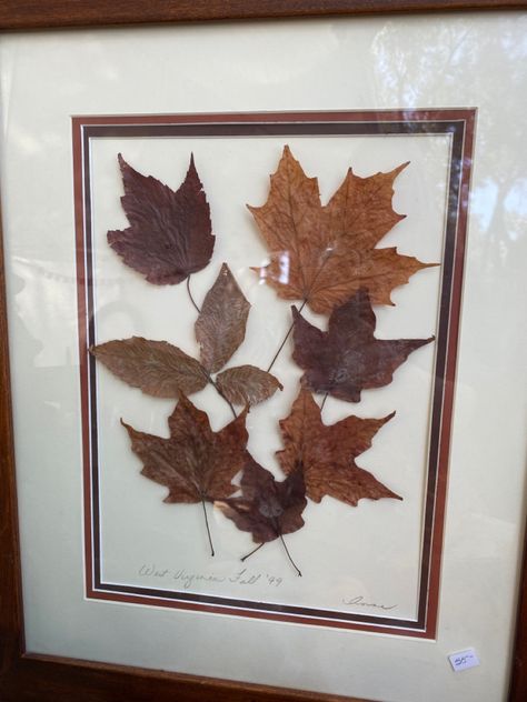 Preserving Flowers, Art Leaves, Framed Leaves, Autumn Leaves Art, Leaves Art, Collage Ideas, Leaf Crafts, Dry Leaf, Fall Holidays