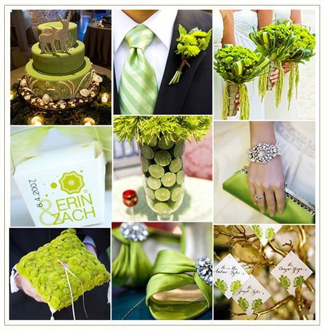 http://journey.hubpages.com/hub/Lime-and-White-Wedding-Ideas Lime Green Wedding Theme, Lime Wedding, Lime Green Weddings, Green And Gold Wedding, How To Make Wedding Cake, Green Wedding Inspiration, Green Themed Wedding, Green Wedding Colors, Gold Wedding Theme