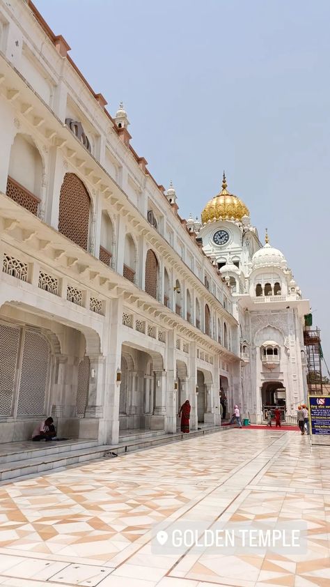 A picture clicked by me of great Sheikh temple famous as golden temple What Is Peace, Golden Temple, Day And Time, World Cultures, Temple, Quick Saves