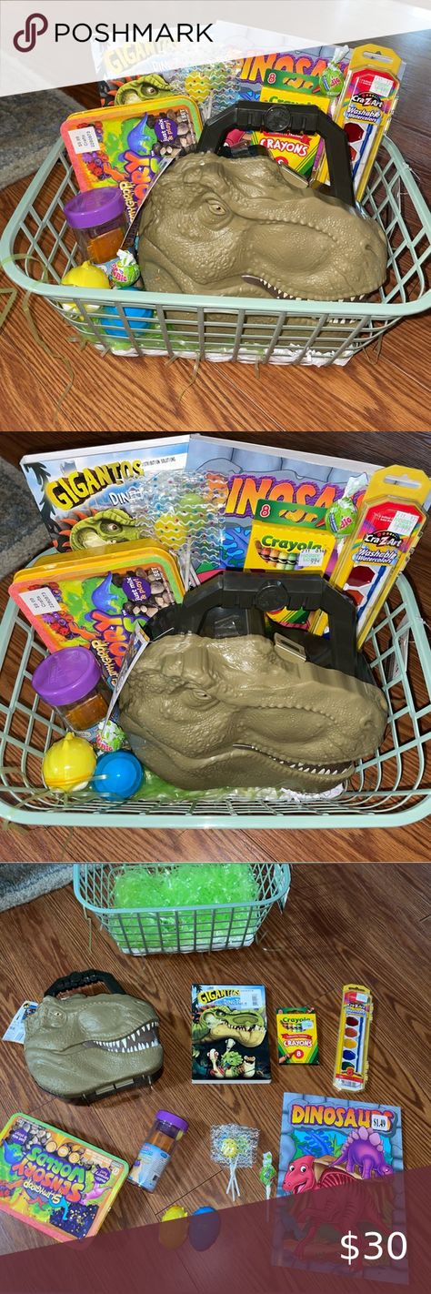 Easter Basket! Dinosaur Themed! Easter Basket, Easter Baskets, Easter, Shop My, Closet