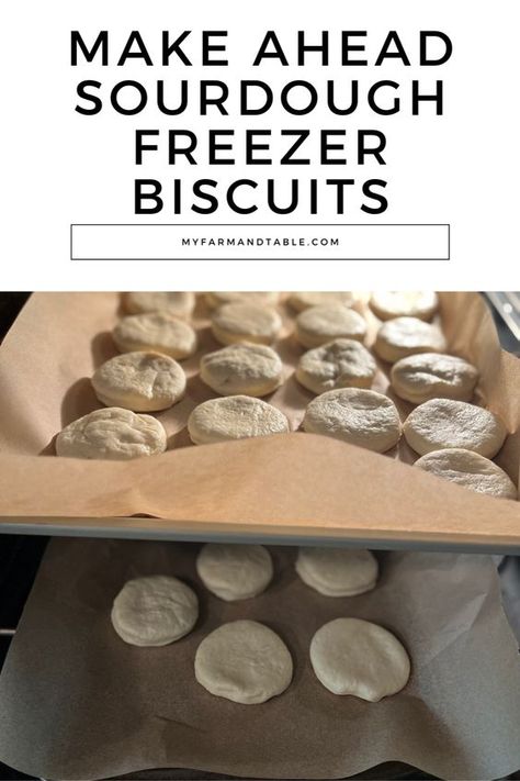 Sourdough Flaky Biscuits, Buttermilk Sourdough Biscuits, Freezer Friendly Sourdough Recipes, Buttermilk Sourdough Recipes, Sourdough Discard Recipes To Freeze, Sourdough Buttermilk Recipes, Sourdough Freezer Biscuits, Sourdough Buttermilk Biscuits, Sourdough Recipes To Freeze