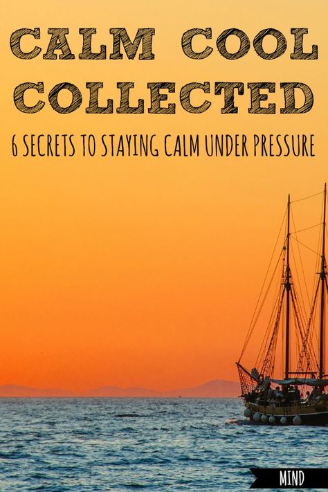 Ever panic, freeze, or shout the first thing that comes to mind in the middle of a stressful situation? Here are 6 secrets to perfecting a calm, cool, collected response to even the most stressful of circumstances. #how #to #stay #staying #calm #cool #and #collected #quotes #life #collective #respond #stress #response #stressful #day #job #situation #situations via @debtakesherlifeback Cool Calm And Collected, Staying Calm, Health Psychology, Life Group, Simplifying Life, Daily Positive Affirmations, Stressful Situations, Career Woman, Stay Calm