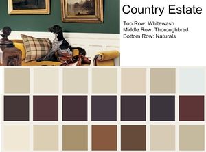 Explaining Ralph Lauren Paint Colors: Ralph Lauren Paint Colors: Country Estate Ralph Lauren Paint Colors, Rustic Paint Colors, Rustic Paint, Ralph Lauren Paint, Rustic Photography, Rustic Logo, Rustic Apartment, Paint Color Chart, Rustic Shower