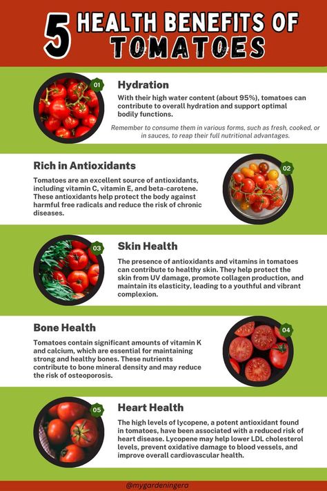 Infographic titled "5 Health Benefits of Tomatoes". Discover how these vibrant fruits are a rich source of vitamins A, C, and K, supporting immune function, healthy skin, and bone health. Learn about their powerful antioxidants, including lycopene, which help reduce the risk of chronic diseases. Uncover the dietary fiber content of tomatoes, aiding digestion and promoting satiety. Get inspired to incorporate these nutritious gems into your meals and enjoy a healthier lifestyle. Benefit Of Tomatoes, Cherry Tomato Benefits, Tomato Health Benefits, Lycopene Benefits, Tomatoes Benefits, Benefits Of Tomatoes, Cloves Health Benefits, Tomato Benefits, Health Benefits Of Tomatoes