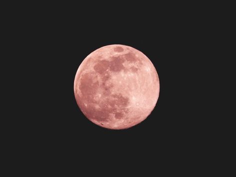 full moon in scorpio pink moon Full Moon Dates, Full Moon Meaning, Full Moon In Sagittarius, Full Moon In Pisces, Names And Meanings, Full Moon In Libra, Full Moon In Aries, Sturgeon Moon, Moon Date