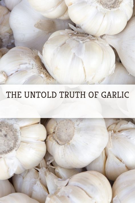 Garlic is one of those go-to cooking elements that at-home cooks and chefs love to implement because of the flavors that it adds to food. #garlic #cookingathome #cookingtips #foodtips #spice Dinner Recipes For Entertaining, Food Recipe Videos, Garlic Health, Dinner Recipes Ideas, Recipes For Entertaining, Recipes For The Family, The Untold Truth, Garlic Health Benefits, Best Time To Eat