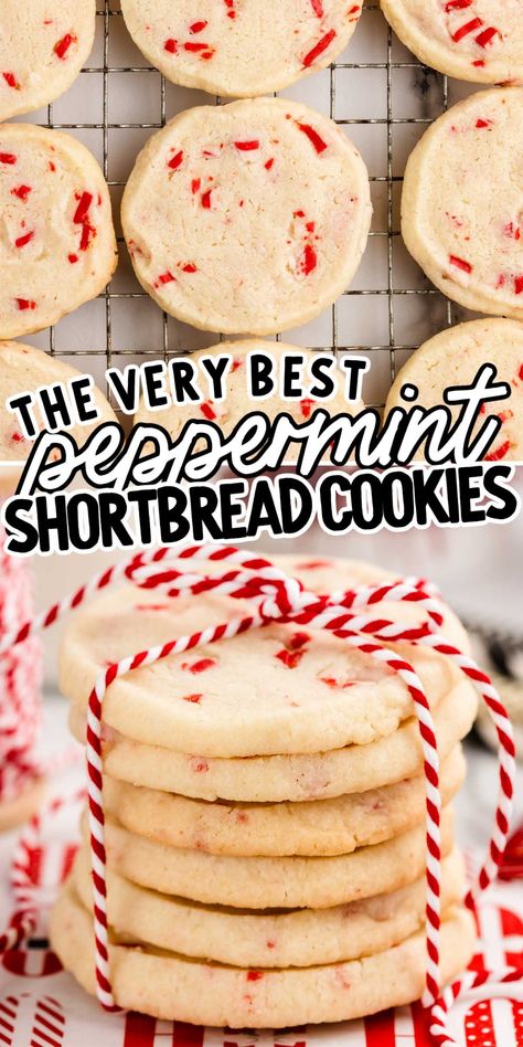 Peppermint Shortbread Cookies Peppermint Andes Cookies, Peppermint Extract Cookies, Peppermint Shortbread Cookies Recipe, Peppermint Holiday Treats, Christmas Cookies Recipes Peppermint, Christmas Shortbread Cookies Recipes, Peppermint Butter Cookies, Easy Delicious Christmas Cookies, Most Popular Christmas Cookies