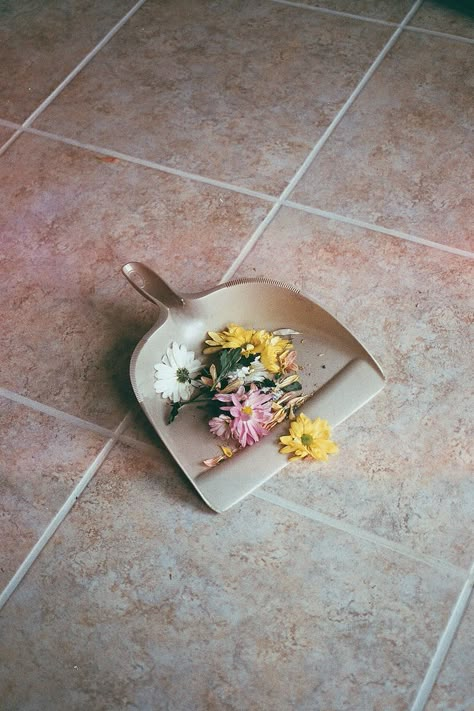 Flowers Fotografi Vintage, On The Floor, Photography Inspo, Life Photography, Still Life Photography, The Floor, Flower Power, Aesthetic Pictures, Photography Inspiration