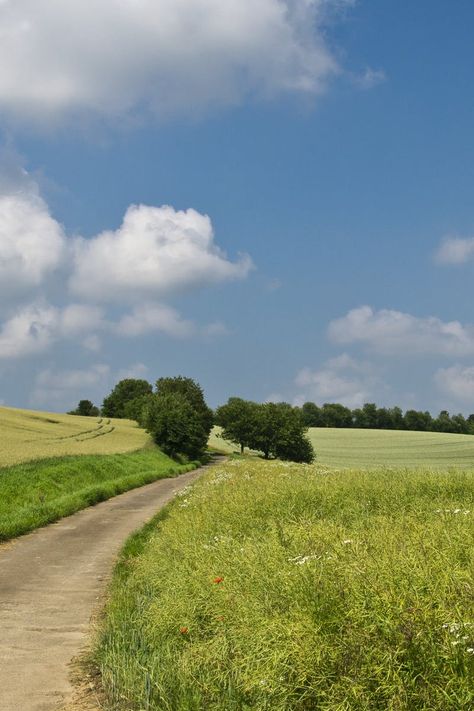 Landscape Field Photography, European Landscape Photography, Rural Landscape Photography, Grassland Landscape, Road Landscape, Green Grass Field, Field Photography, Grassy Field, Grass Field