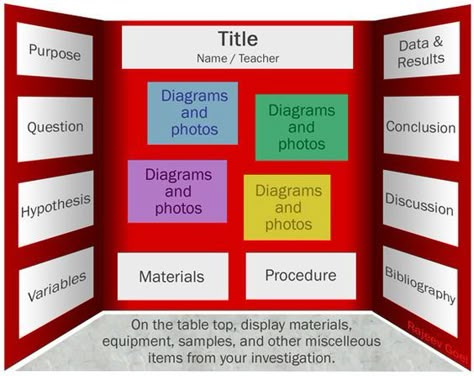 Science Fair Board Layout | Here is a second example of a ... Science Fair Board Layout, High School Science Fair, Investigation Board, Science Project Board, Science Fair Board, Science Fair Experiments, Science Fair Projects Boards, Science Fair Project Ideas, Science Project Ideas