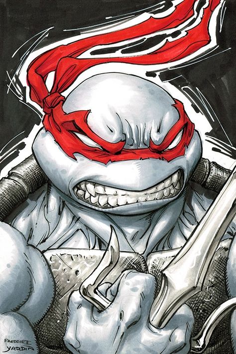 Ninja Turtle Drawing, Mikey Tmnt, Tmnt Mikey, Raphael Ninja Turtle, Sketch Cover, Teenage Mutant Ninja Turtles Artwork, Teenage Mutant Ninja Turtles Art, Ninja Turtles Artwork, Tmnt Artwork