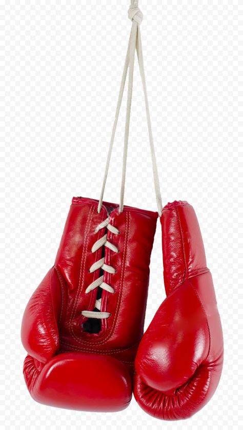 Boxing Gloves Photography, Hanging Boxing Gloves, Gifts Wishlist, Red Boxing Gloves, Vector Illustration Character, Gloves Boxing, Heat Press Designs, Boxing Glove, Gloves Design