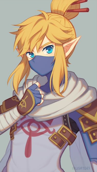 Sheikah Link, Link Hyrule Warriors, Link Drawing, Link Fan Art, Link Loz, Legend Of Zelda Fanart, Botw Link, Link Botw, Pc Image