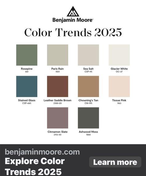 Cinnamon Slate, Trends 2025, Trending Paint Colors, Entertaining Gifts, Shine The Light, Benjamin Moore Colors, Room Paint Colors, Paint Colors For Living Room, Paint Shades