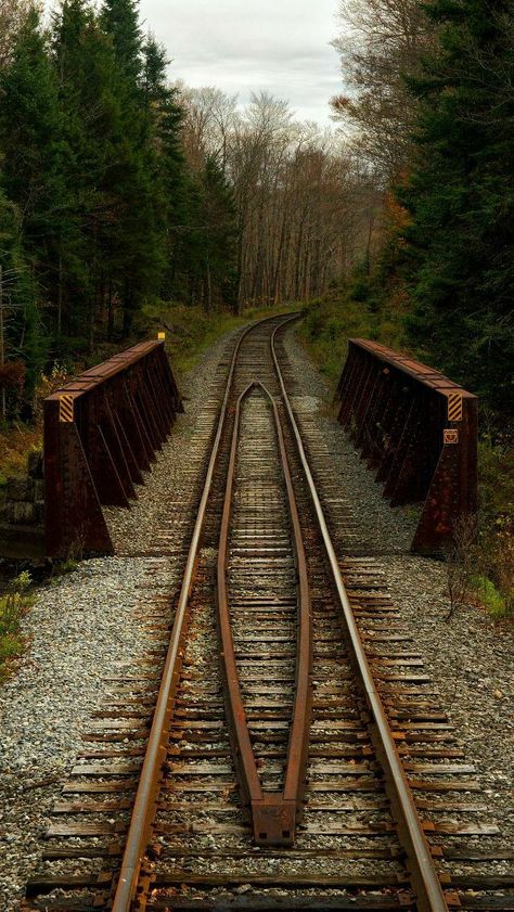 Worcestershire England, Railroad Images, Train Tunnel, Railroad Photography, Old Trains, Old Train, New York Photos, Brick Road, Train Pictures