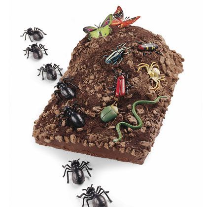 bug birthday cake and other ideas for boys Bug Party Food, Bug Birthday Party Ideas, Bug Themed Party, Bug Cakes, Bug Birthday Cakes, Insect Party, Snake Cake, Mountain Cake, Spider Party