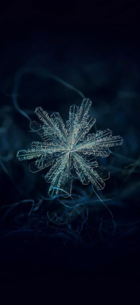 Snow Flake, Mobile Wallpaper, In The Dark, Iphone