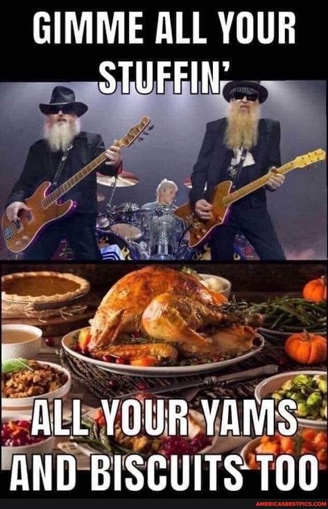 Happy Thanksgiving Memes, Funny Thanksgiving Pictures, Thanksgiving Meme, Funny Lyrics, Thanksgiving Jokes, Thanksgiving Pictures, Thanksgiving Quotes, Funny Thanksgiving, Holiday Humor