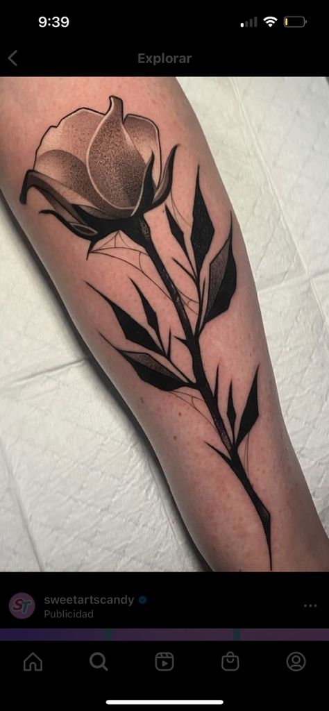 Neotrad Rose, Single Rose Tattoos, Rose Flower Tattoos, Traditional Tattoo Flowers, Tattoo Apprenticeship, Black Rose Tattoos, Floral Tattoo Design, Rose Tattoo Design, Tattoo Project