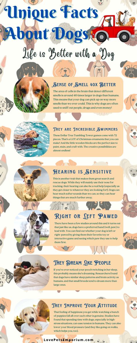 Dog Facts Interesting, Fun Facts About Dogs, Meds For Dogs, Interesting Facts About Yourself, Some Interesting Facts, Dog Sounds, Unique Facts, Dog Information, Dog Nutrition