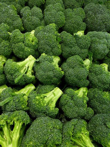 Calabrese Broccoli | by arbyreed Green Fruit And Vegetables, Seasoned Broccoli, Palm Tree Fruit, Brassica Oleracea, List Of Vegetables, Superfoods, Fruits And Vegetables, Broccoli, Seeds