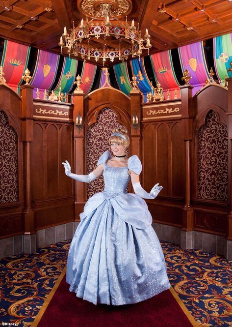 Disney World Guide, Disneyland Princess, Disney World Characters, Disney Face Characters, Cinderella Disney, Disney Princes, New Fantasy, Disneyland Park, Face Characters