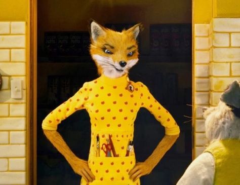 Collection | annabellecook | VSCO Mrs Fox Costume, Fantastic Mr Fox Movie, Terry Pratchett Discworld, Fox Character, Fantastic Fox, Fox Costume, Wes Anderson Movies, Wes Anderson Films, Elevator Music