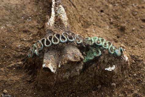 'Snake' bracelet (© Denis Gliksman, Inrap) Ancient France, Central France, Heroic Age, Ancient History Archaeology, Irish Mythology, Ancient Celts, Ancient Jewellery, Celtic Culture, Archaeological Discoveries