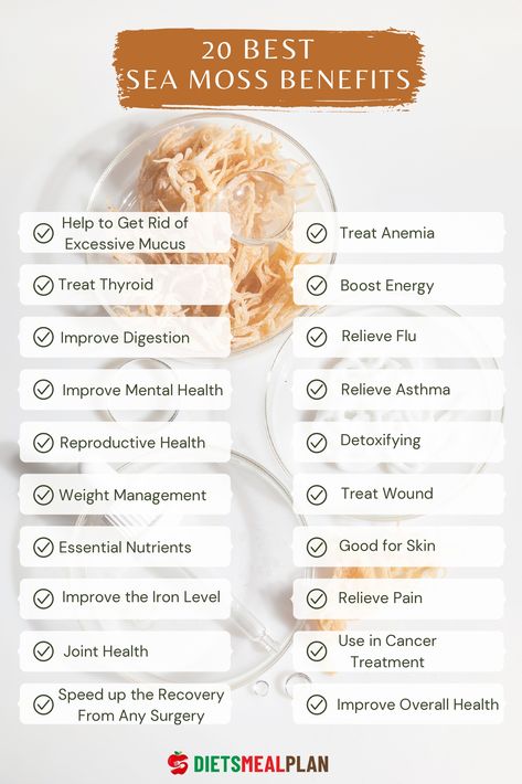 Sea moss is almost similar to any other algae. It has multiple health benefits. It can have a huge positive impact on your immune system, reproductive system, digestive system, and mental health. Here, we will discuss sea moss benefits. Visit our website for details of the benefits. #seamoss #healthyfoods #superfood #healthylife #healthyeating #healthyeats Benefits Of Seamoss Gel, Seamoss Benefits For Women, Benefits Of Seamoss, Dessert Smoothie Recipes, Sea Moss Recipes, Sea Moss Benefits, Benefits Of Sea Moss, Seamoss Benefits, Herbal Health