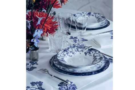 Soup Plate Blue Toile de Jouy | DIOR Dior Toile, Timeless House, Red Toile, Soup Plate, Blue Toile, Plate Crafts, Limoges Porcelain, Christian Dior Couture, Colorful Fruit