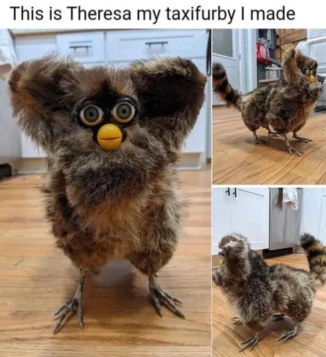 Vulture Culture Crafts, Cursed Taxidermy, Funny Taxidermy, Bad Taxidermy, My Future Job, Future Job, Vulture Culture, Future Jobs, Taxidermy