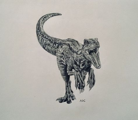 Blue Jurassic world drawing Jurassic World Drawing, Velociraptor Drawing, Jurassic Park Tattoo, Headphones Tattoo, Blue Jurassic World, World Drawing, Lord Of The Rings Tattoo, Raptor Dinosaur, Dinosaur Tattoos