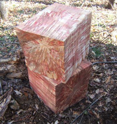 Red Box Elder Lumber/Blanks/Cookies . . . . | Woodworking Talk Woodcarving Ideas, Species Guide, Snake Wood, Restore Wood, Wood Resin Table, Log Slices, Box Elder, Wood Art Projects, Woodworking Inspiration