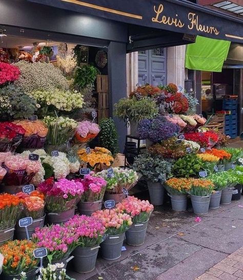 NYC flower market on the side of the street. Different colored flowers in buckets along the side of the street Unfiltered Background, Aesthetic Places, Random Aesthetic, Nothing But Flowers, Flower Therapy, Jolie Photo, Flower Market, Beautiful Life, Love Flowers