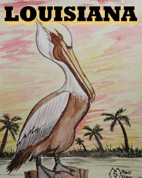 On this date, July 26th, in 1966 the pelican became the official state bird of Louisiana. This is my watercolor of a brown pelican at sunset along the coast. I was inspired to paint this pelican from watching them during my vacation trips in the south.    I appreciate your feedback and sharing my art with others.  prints/products:  https://www.redbubble.com/shop/ap/132202033 . . . #mattstarrfineart #artistic #paintings #artforsale #artist #myart #dailyart #artlover #artwork #artoftheday #... Louisiana Pelican, Pelican Art, Brown Pelican, State Birds, Selling Prints, Colorful Bird, Bird Illustration, Watercolor Bird, Daily Art