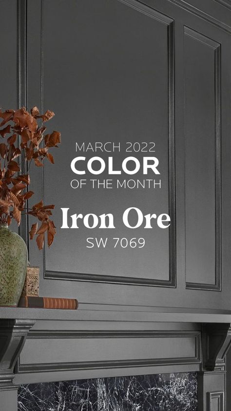 Darkroom Paint Sherwin Williams, Iron Ore Sherwin Williams, Sherwin Williams Paint Neutral, Paint Decor, Shutter Colors, Dark Grey Paint, Color Of The Month, Living Room Wall Color, Kitchen Home Office