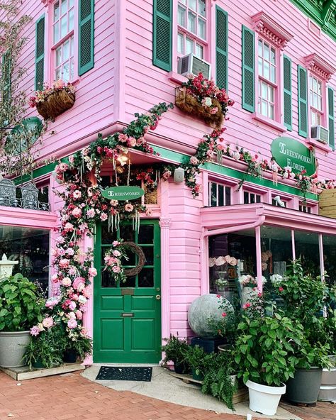 Loving this pink flower shop in Georgetown, Washington DC Washington Things To Do, Washington Dc Vacation, Dc Vacation, Georgetown Washington Dc, Sky Pink, George Town, Most Instagrammable Places, Washington Dc Travel, Colorful Places