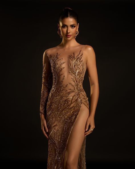 Evening Gowns Pageant, Pageant Photoshoot Ideas Headshot Poses, Miss Universe Dresses, Miss Universe Gowns, Pageant Evening Gowns, Nude Gown, Beauty Pageant Dresses, Fancy Gowns, Beaded Cocktail Dress