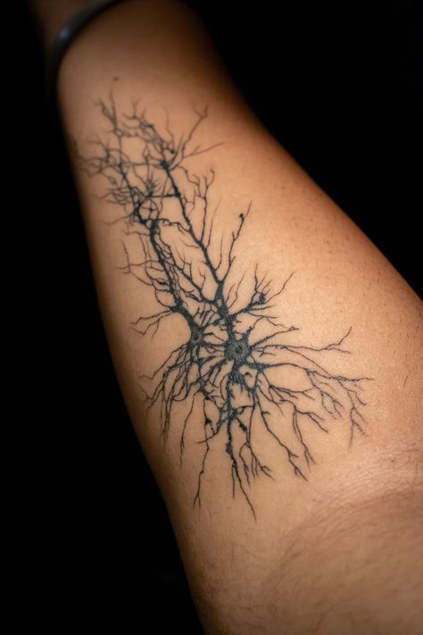 Jiwandeep Kohli on Twitter: "After a decade of mulling over tattoo ideas, finally went for it and decided to wear my passion on my sleeve. Pyramidal neurons inspired by the amazing @GDunnArt. Would love to see other folks’ science inspired tattoos! Retweet with yours. https://t.co/uqQGQQpNRp" / Twitter Neuron Tattoo, Anatomical Tattoos, Tattoos 2023, Tattoo Board, Inspired Tattoos, Sleeve Ideas, Sleeves Ideas, Tattoo Sleeve, My Passion