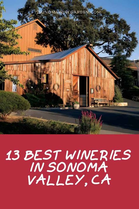 If you're looking for an unforgettable wine tasting experience, look no further than the 13 best wineries in Sonoma Valley. https://sonomawinegarden.com/sonoma-valley-wineries/ Best Wineries In Sonoma, Sonoma California Wineries, Sonoma Valley Wineries, Sonoma Wineries, California Winery, Napa Valley Wineries, Sonoma California, Wine Tasting Experience, Sonoma Valley