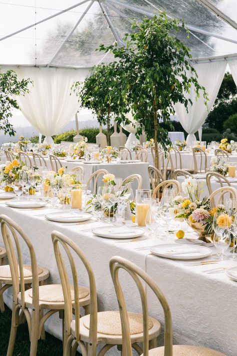 Elegant Yellow Wedding, Yellow And White Wedding Decorations, Wedding With Yellow Accents, Colorful Wedding Pallet, Pale Yellow Wedding Theme, Lemon Tree Wedding, Pale Yellow Wedding, White And Yellow Wedding, Light Yellow Weddings