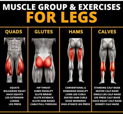 Hip Thrust Workout, Lying Leg Curls, Standing Calf Raise, Elementary Physical Education, Glute Kickbacks, Killer Legs, Workout Muscle, Glute Workout, Leg And Glute Workout