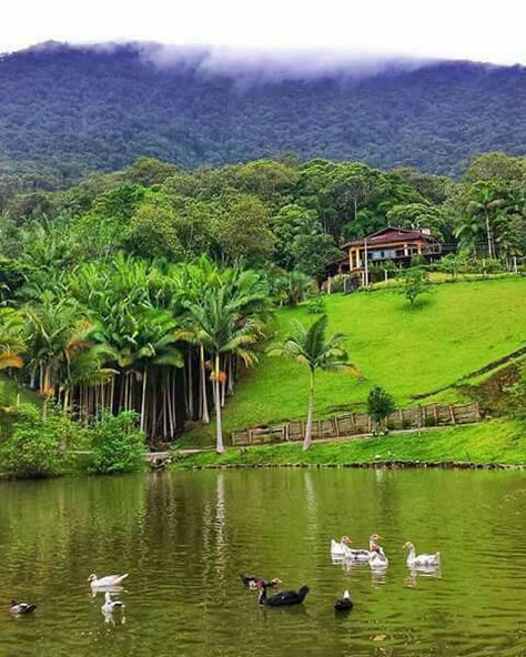 Brasil Image Nature, Landscape Photography Nature, Beautiful Photos Of Nature, Beautiful Nature Wallpaper, Nature Images, Nature Scenes, Nature Wallpaper, Nature Travel, Amazing Nature