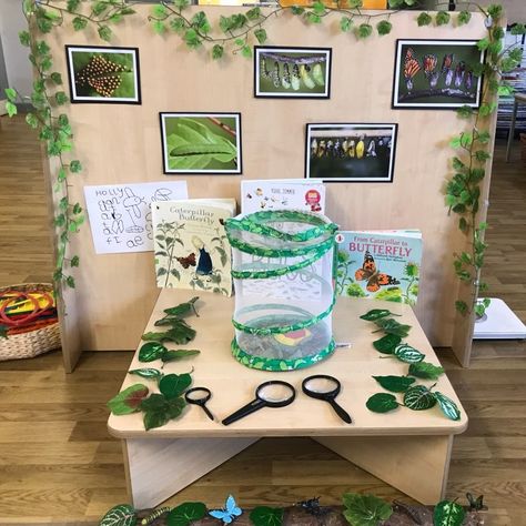 Caterpillar to butterfly interest table 🐛 🦋 #childinitiatedplay #purposfulenhancements #inspire #eyfsteacher #eyfsideas Bug Provocations Preschool, Preschool Caterpillar Crafts, Minibeasts Eyfs, Butterfly Classroom, Garden Kindergarten, Caterpillar To Butterfly, Early Years Teacher, Insects Preschool, Bugs Preschool