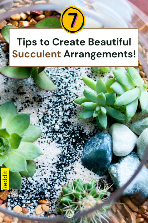 "Discover 7 essential tips to create stunning succulent arrangements that  elevate your DIY succulent decor! Learn indoor plant styling techniques,  succulent care tips, and explore creative planters to enhance your home  gardening ideas. Transform your space with beautiful, low-maintenance  plants that bring life and style to any room. Perfect for beginners and  seasoned gardeners alike!" Artificial Succulent Arrangements Diy, Succulent Arrangements Indoor, Succulent Care Indoor, Ideas For Succulents, Succulent Arrangements Diy, Mini Succulent Garden, Care For Succulents, Succulents Care, Succulent Care Tips