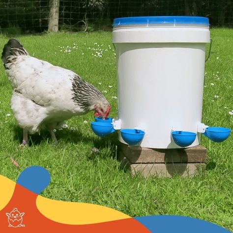 #automatic #chicken #feed #feeder #watercup #waterer #ducks #chickens #goose #turkey #bunny #poultry #farm #yard #hens #smallanimals Chicken Water Feeder, Chickens And Ducks, Turkey Farm, Automatic Waterer, Best Bird Feeders, Poultry Feeders, Chicken Waterer, Chicken Bird, Poultry Feed