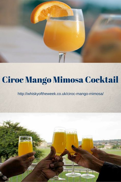 Ciroc Mango Mimosa Cocktail Mango Ciroc Drink Recipes, Mango Mimosa Recipe, Ciroc Drinks, Mango Mimosa, Classic Mimosa, Mango Vodka, Surimi Recipes, Ciroc Recipes, Crohns Recipes