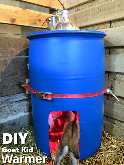 DIY Goat Kid Warmer - keeps your little goats warm all throughout the winter... #goats #homesteading Goat Playground, Goat Shelter, Goat Pen, Goat House, Goat Care, Goat Barn, Goat Kidding, Raising Goats, Pygmy Goat