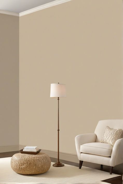 1. Interior Design Color
2. Timeless Wall Paint
3. Benjamin Moore Manchester Tan
4. Classic Home Decor Lambskin Benjamin Moore, Benjamin Moore Tan, Benjamin Moore Manchester Tan, Manchester Tan Benjamin Moore, Tan Paint Colors, Manchester Tan, Tan Living Room, Light Oak Floors, Tan Paint